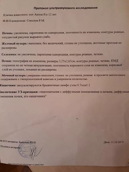 Водно сифонная проба желудка. УЗИ кишечника норма протокол. УЗИ желудка протокол. УЗИ желудка заключение. УЗИ кишечника заключение.