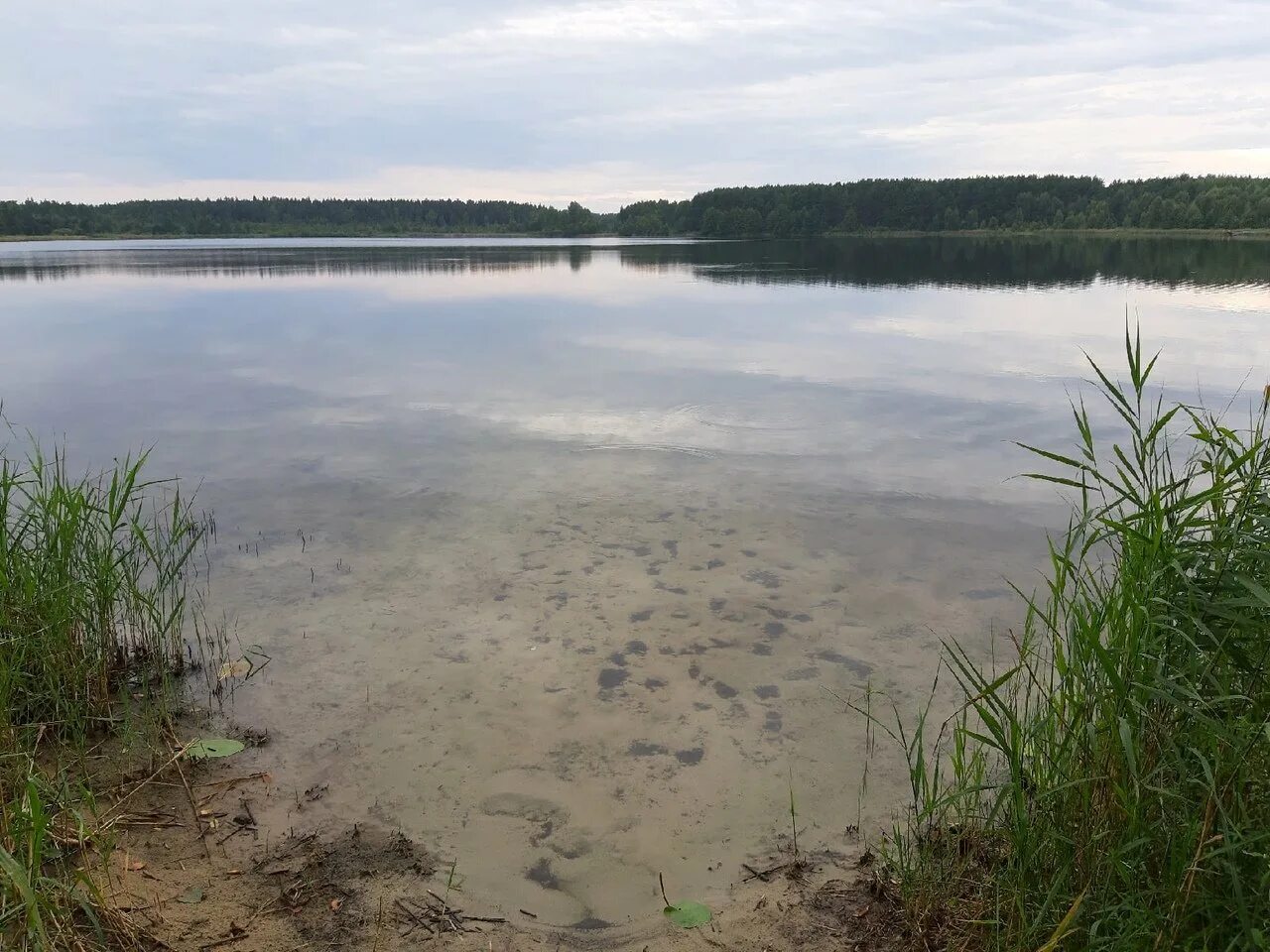 Маленькое беленькое озеро. Беленькое озеро спас Клепики. Озеро Беленькое Рязань. Озеро белое Клепиковский район. Озеро Беленькое Клепиковский район.