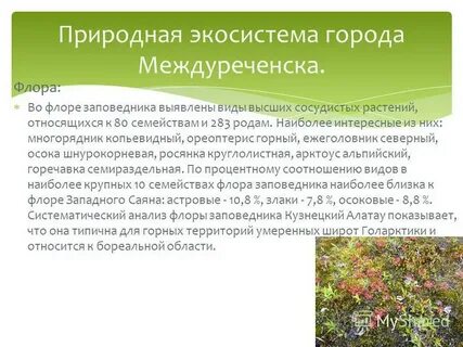 Городская экосистема