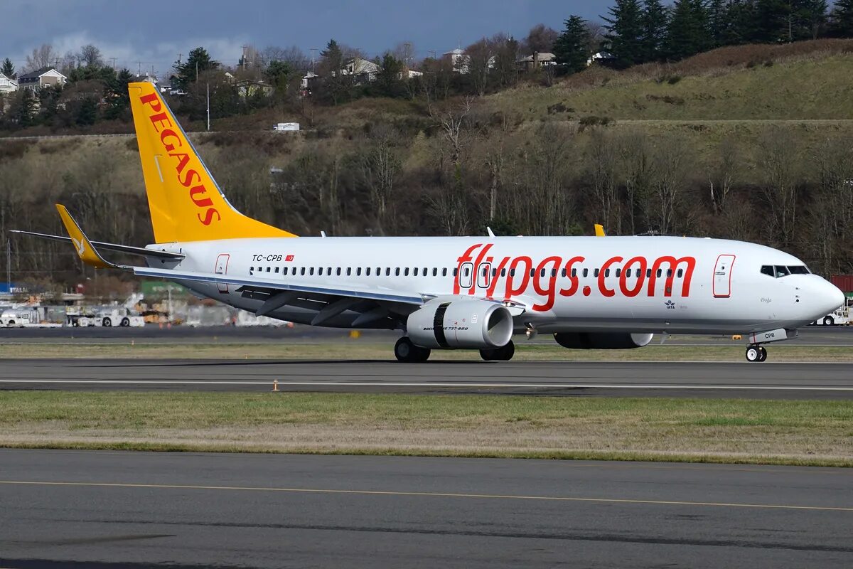 Пегасус эйрлайнс отзывы. Pegasus Airlines самолеты. Пегасус авиакомпания Pegasus Airlines. Boeing 737 Pegasus Airlines. Boeing 737-800 Pegasus.