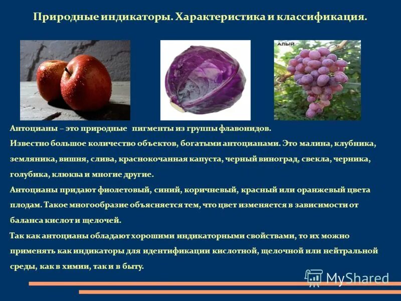 антоцианы это