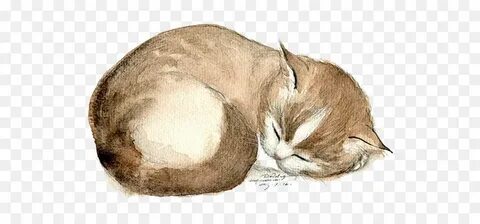 Рисунки кота дремота