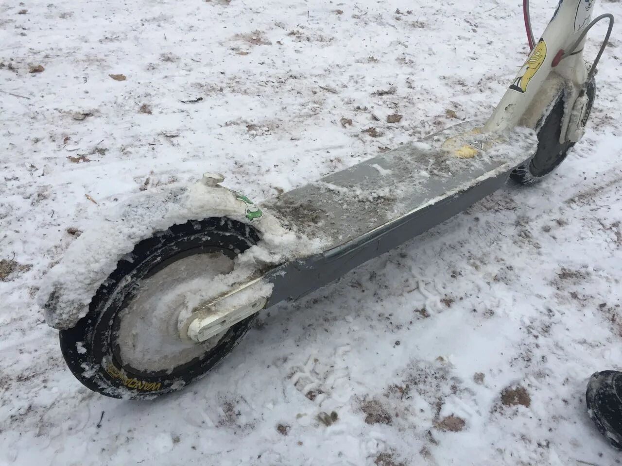 Электроснегокат SNOWSCOOTER 1000w. Электросамокат зимой. Зимний электросамокат зимний. Самокат для езды по снегу. Скутер после зимы