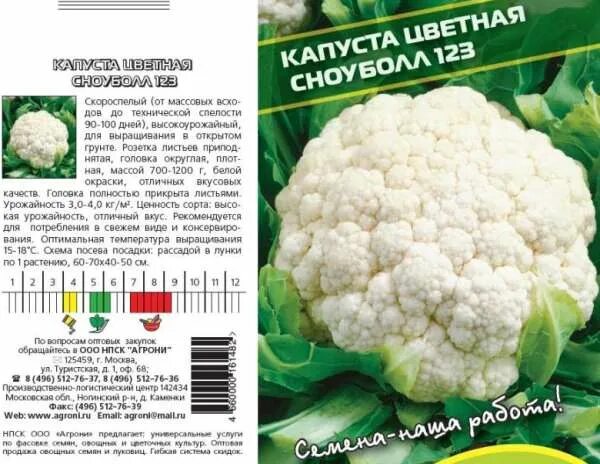 Капуста сорт фиеста. Сорт цветной капусты сноуболл. капуста сноуболл описание. капуста сноуболл 123. капуста сноуболл описание сорта.