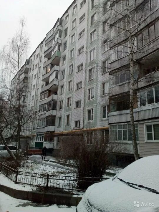 Еловая 80/1 ковров на карте. Еловая ковров. Еловая, 88/1. Город ковров улица еловая. Ковров лесная 4.