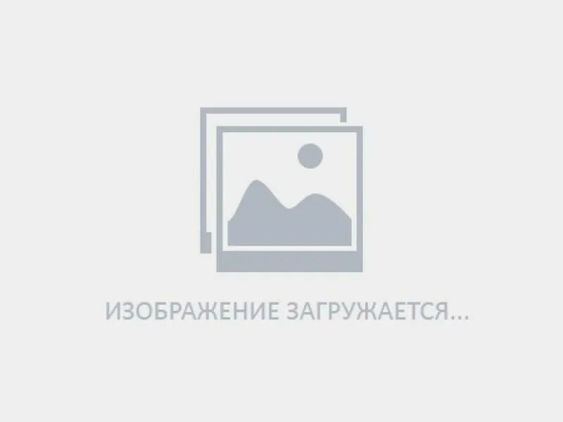 Ed7ba470 8e54 465e 825c 99712043e01c