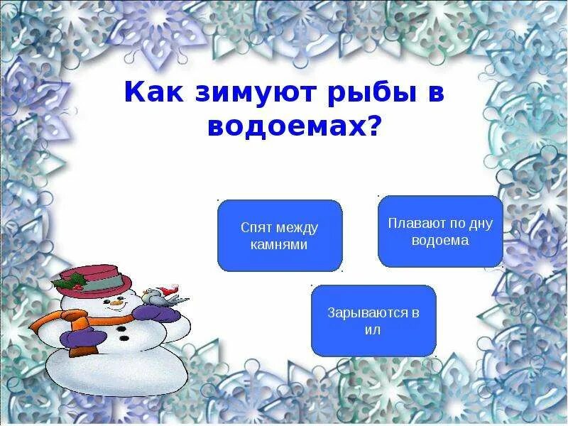 Как зимуют рыбы. Презентация как рыбы зимуют. Тест про зиму. Как зимуют рыбы в водоемах?