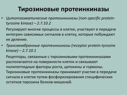 Протеинкиназа c