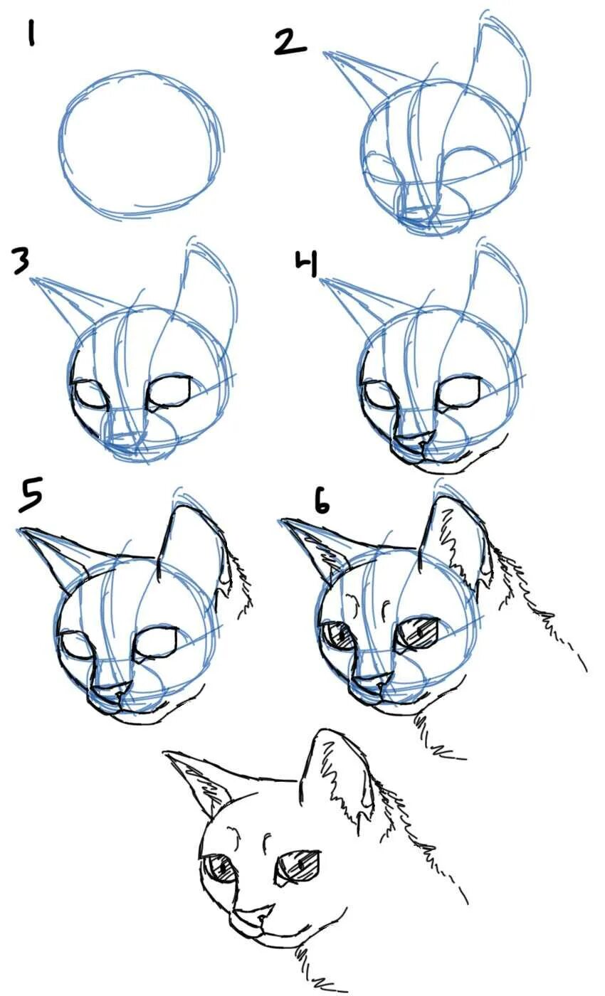 Как нарисовать катнапа. Поэтапное рисование кота. Поэтапное рисование кошки. Кошка рисунок поэтапно. Рисунки карандашом лёгкие.