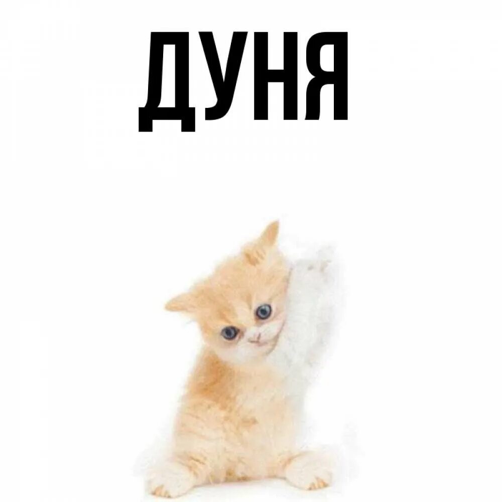 Как звучит полное имя дуни. Дуня имя. картинка дунё. дуня полное имя. рисунок дуни.