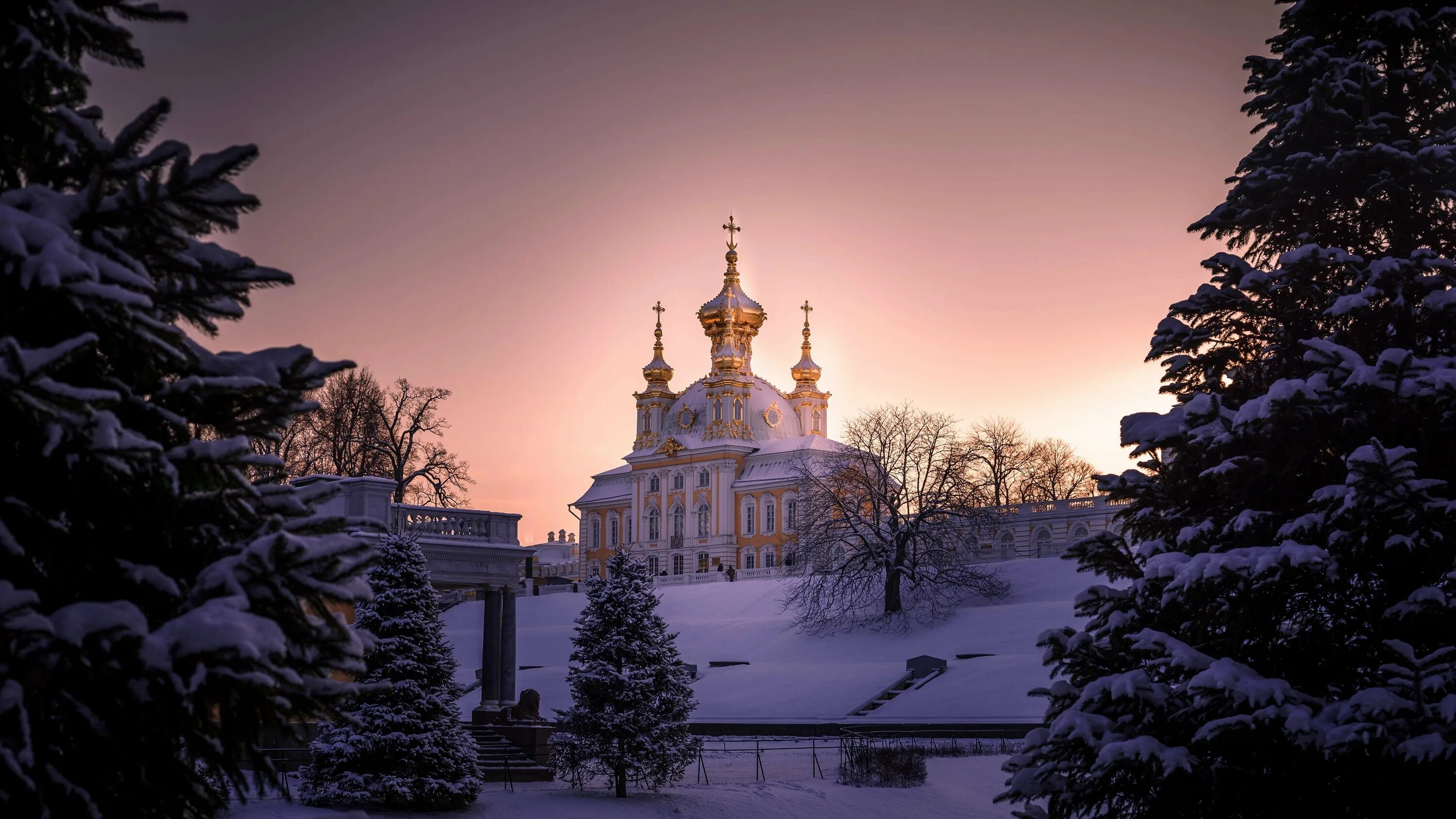 Царская ночь. Ольгинская Церковь Петергоф зимой. Петергоф в Санкт-Петербурге зимой. Питер Петергоф зимой.