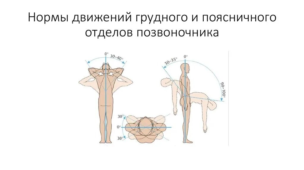 Движения поясничного отдела позвоночника. Объем движений в поясничном отделе позвоночника. Объем движений в поясничном отделе позвоночника в градусах. Объем движений позвоночника в норме. Подвижность поясничного отдела позвоночника.