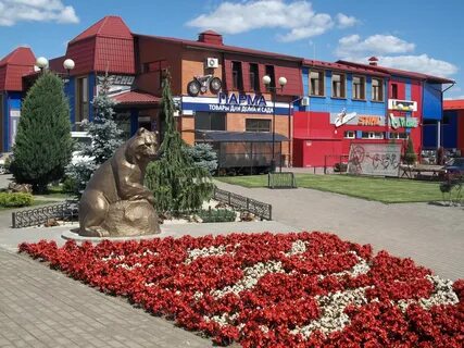 Парма великие луки
