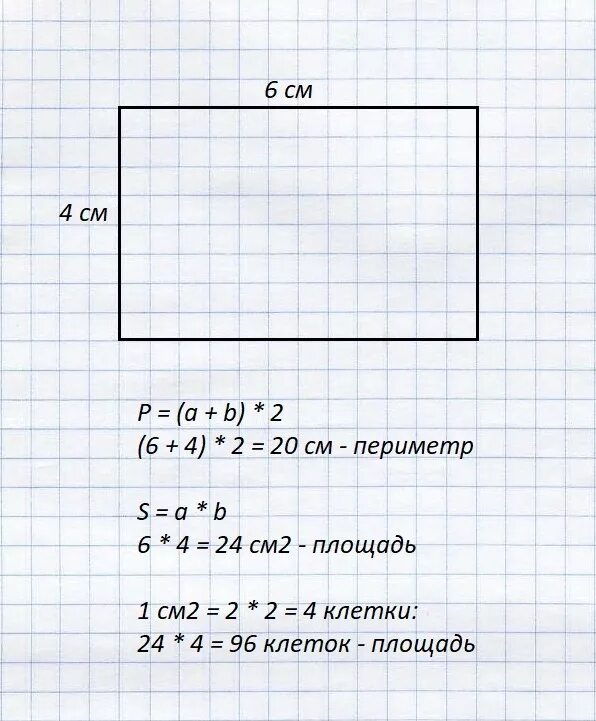Начерти в тетради прямоугольник со. Математика 2 класс 2 прямоугольник периметр. площадь и периметр прямоугольника со сторонами. начертить прямоугольник. периметр тетради.