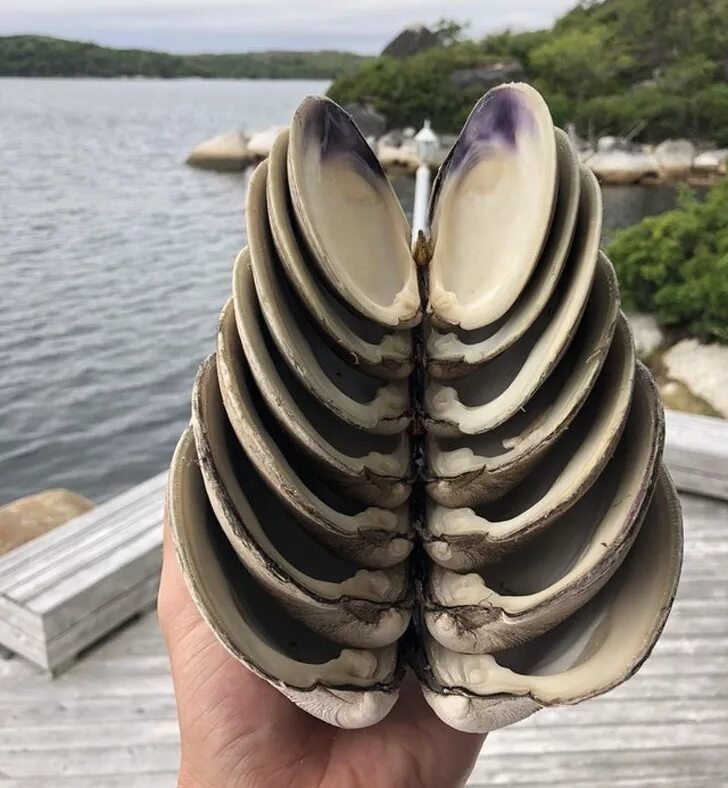 съемка с необычного ракурса. оригинальный снимок. оригинальные идеи для бизнеса. нормально обычно необычно идеально. оригинальный человек.