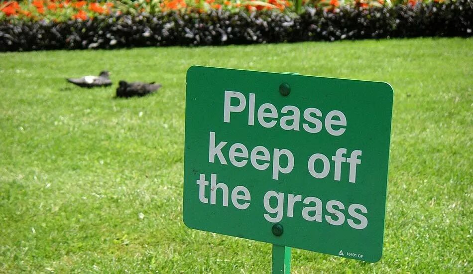 Keep off the grass. Keep of the grass знак. Знак please, keep off the grass. Таблички keep out of the grass. Tell tell sign