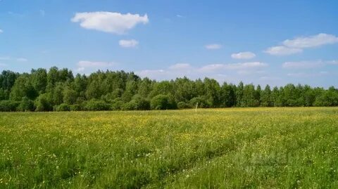 Бобровские дачи