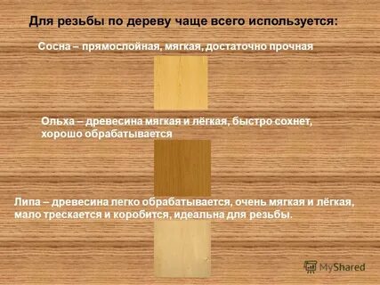 Какое дерево лучше для резьбы по дереву