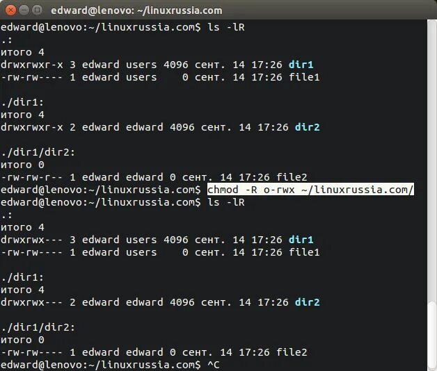 Chmod на папку. Chmod linux команда. linux terminal.