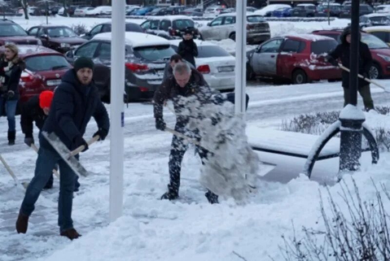 уборка снега в приморском районе спб. уборка улиц. во дворе дворники убирают снег. для уборки снега дворника. уборка снега в приморском районе спб.