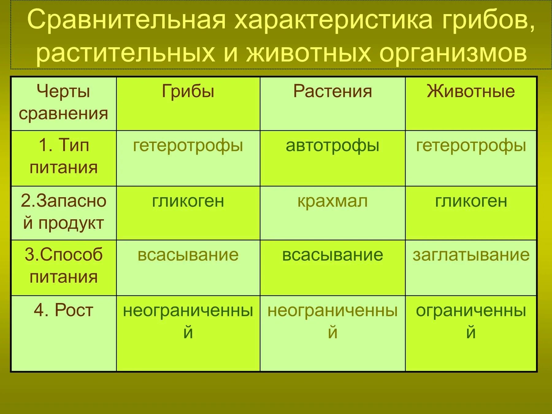 Таблица растения грибы, бактерии