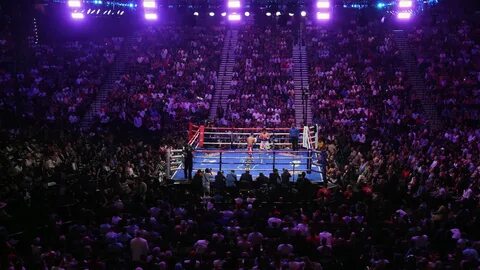 Fight live