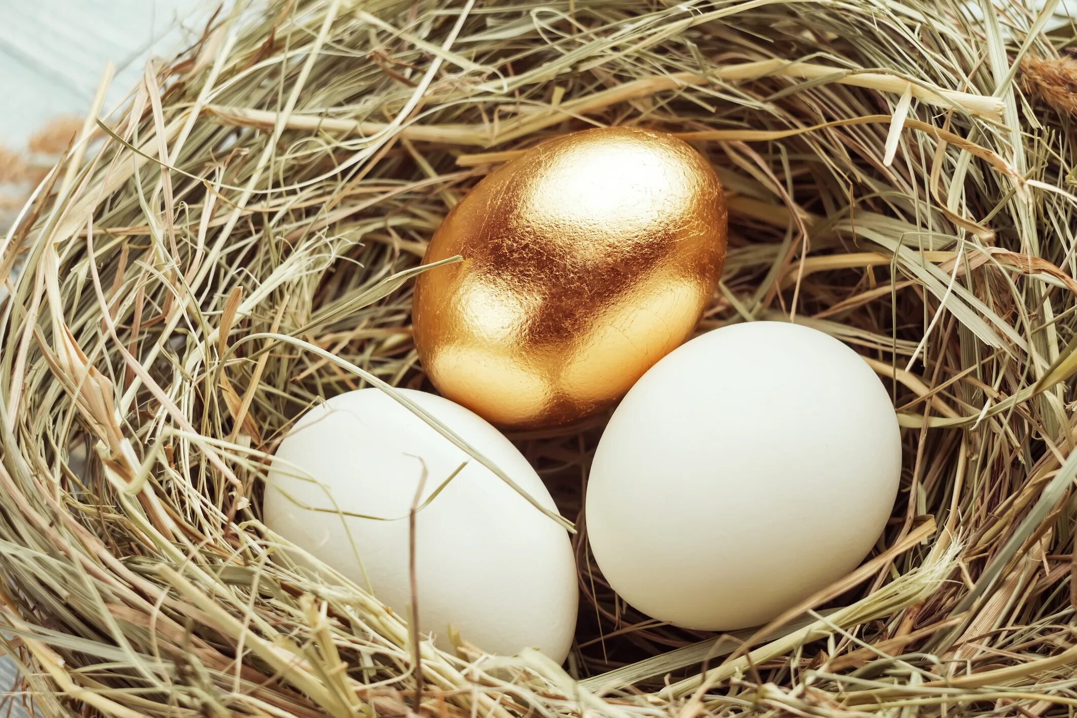 Two eggs. Золотое яйцо. Золотые пасхальные яйца. Одно яйцо в гнезде. Обычное яйцо.