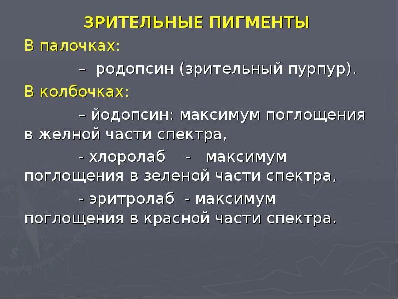 Пигмент йодопсин. Зрительные пигменты классификация. Зрительные пигменты их виды и функции. Родопсин и йодопсин функции. Зрительный пигмент колбочек.