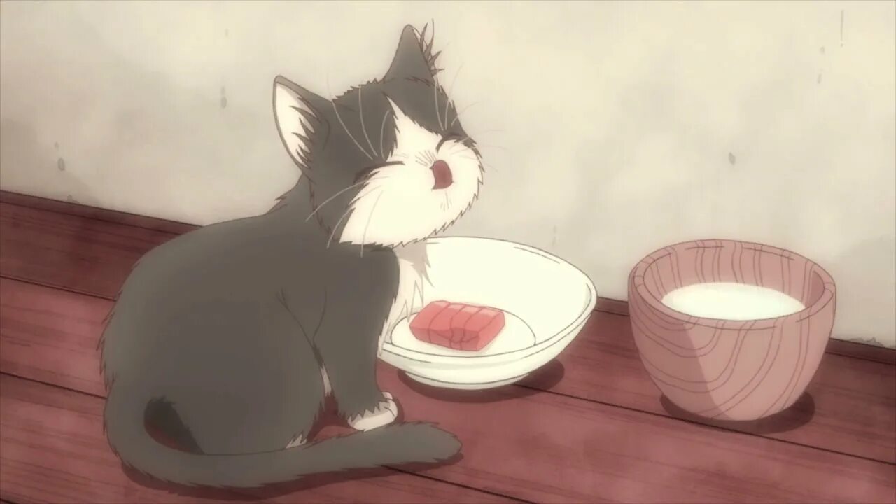 The cat drunk its milk