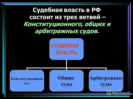 Ветвь власти представленная судами