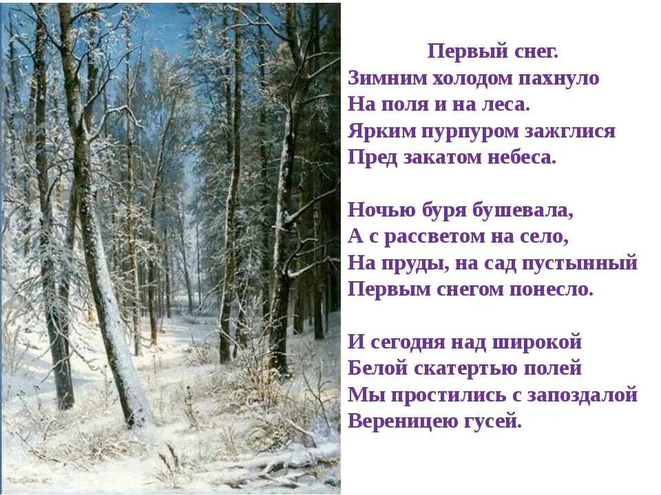 Первый снег стихотворение. Стихи о первом снеге. Стихи про снег. Первый снег зимним холодом пахнуло. Зимний снег стихотворение