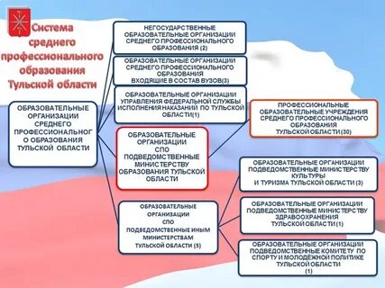 Подведомственные образовательные организации