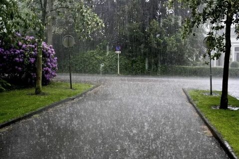 Empty rain