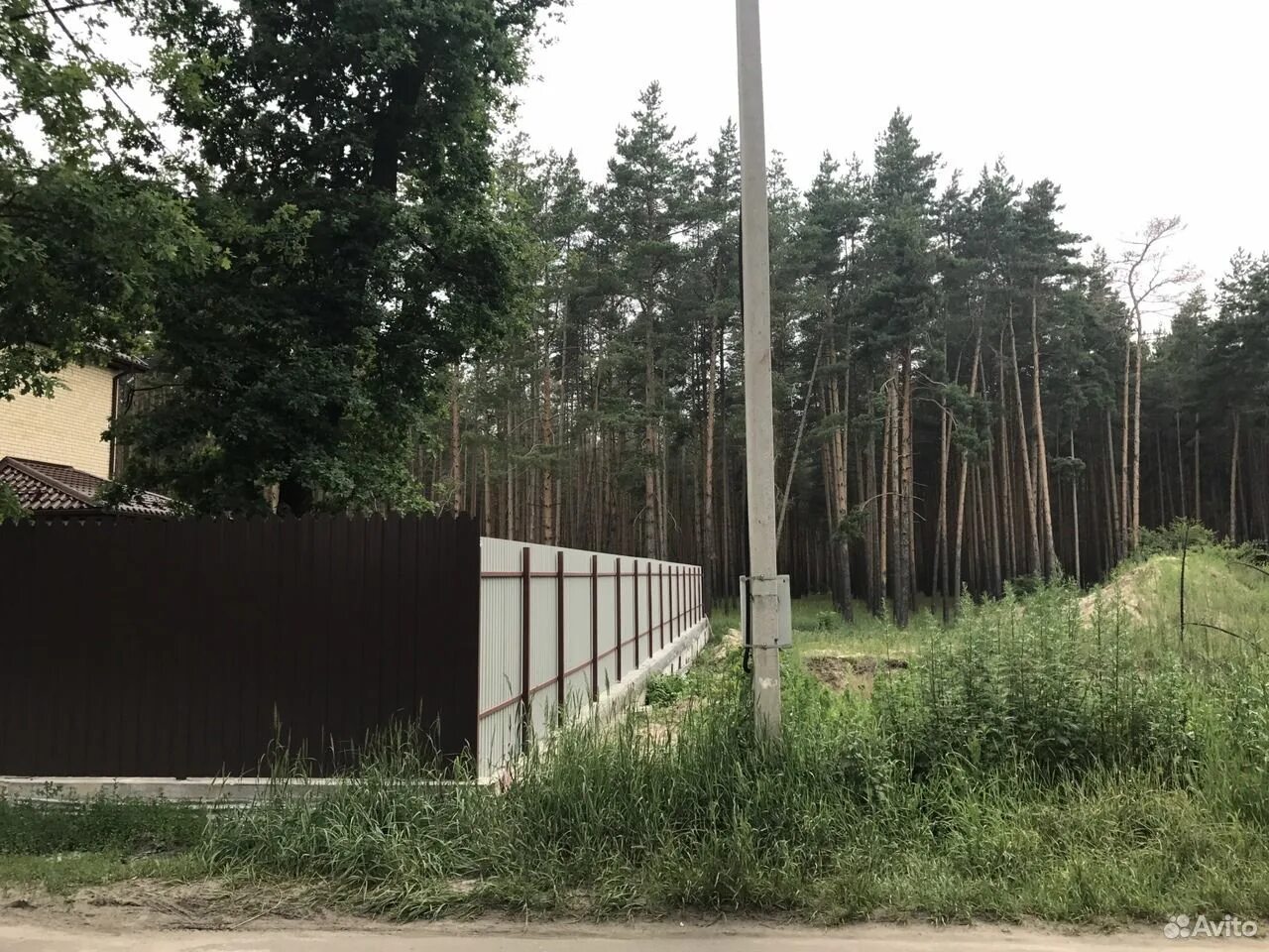Воронежская область старый дом в сомово воронеж. Сомово улица дубовая воронеж. Поселок сомово ул липецкая. Сомово улицы. Сомово воронеж.
