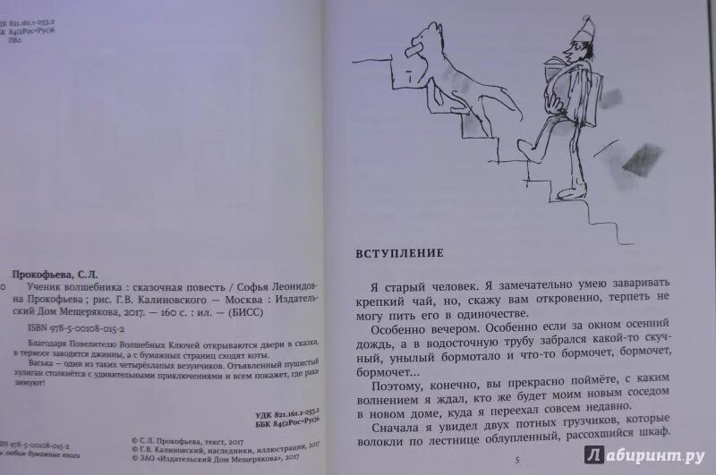 Книга Прокофьевой ученик волшебника. Иллюстрации из книги ученик волшебника. Волшебники краткое содержание книг