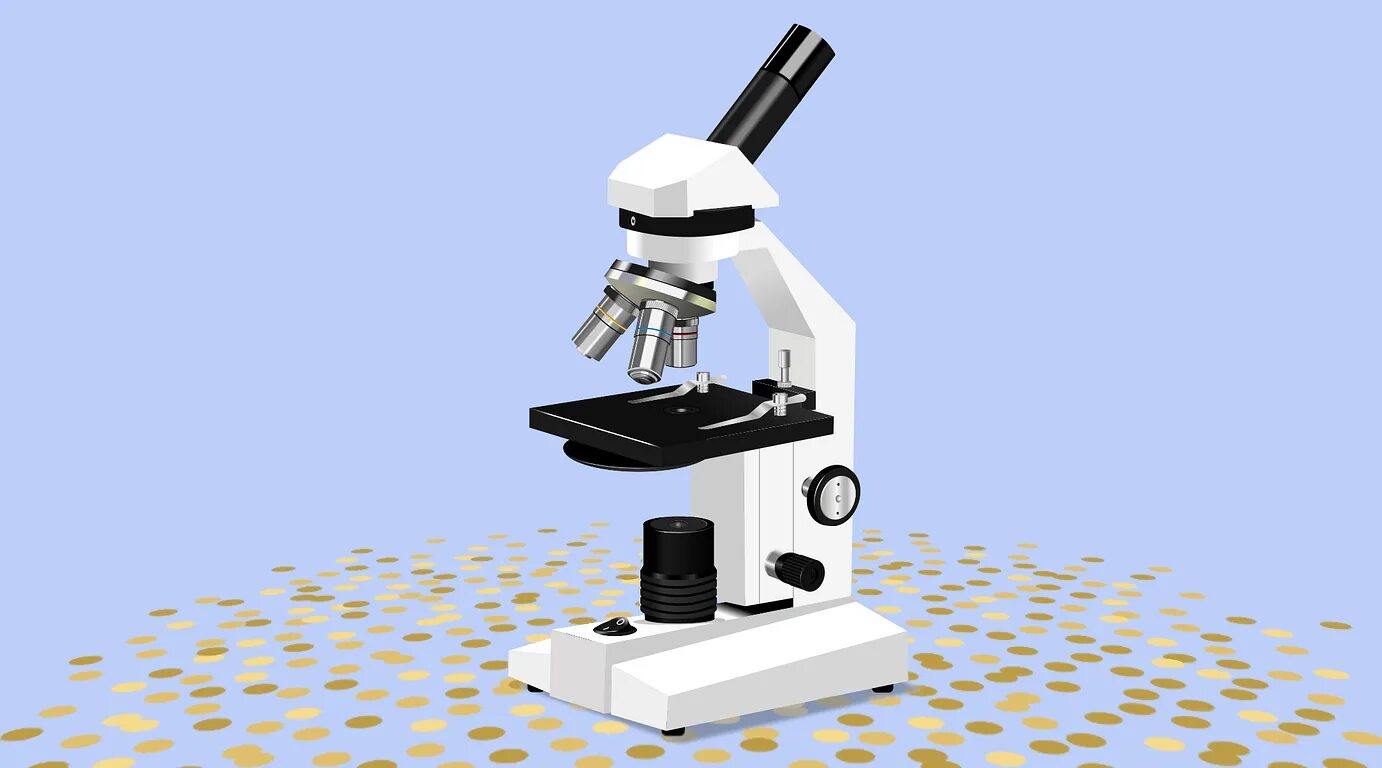 Микроскоп n300m. Микроскоп Focus Базик. Световой микроскоп AXIOIMAGER. Микроскоп Bestscope.