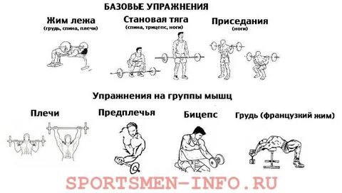 Базовые упражнения в