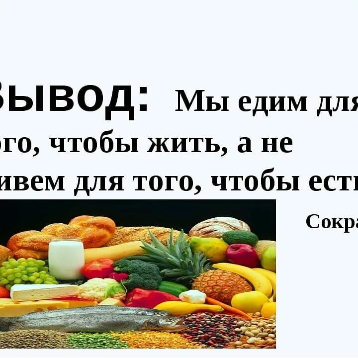 Программа что мы едим