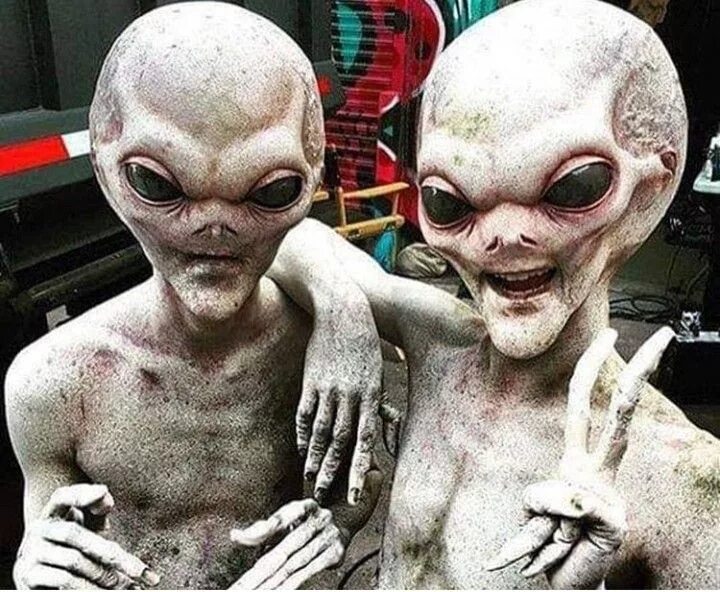 This is our Alien costumes I made! Alien costume, Couple halloween costumes, Hal