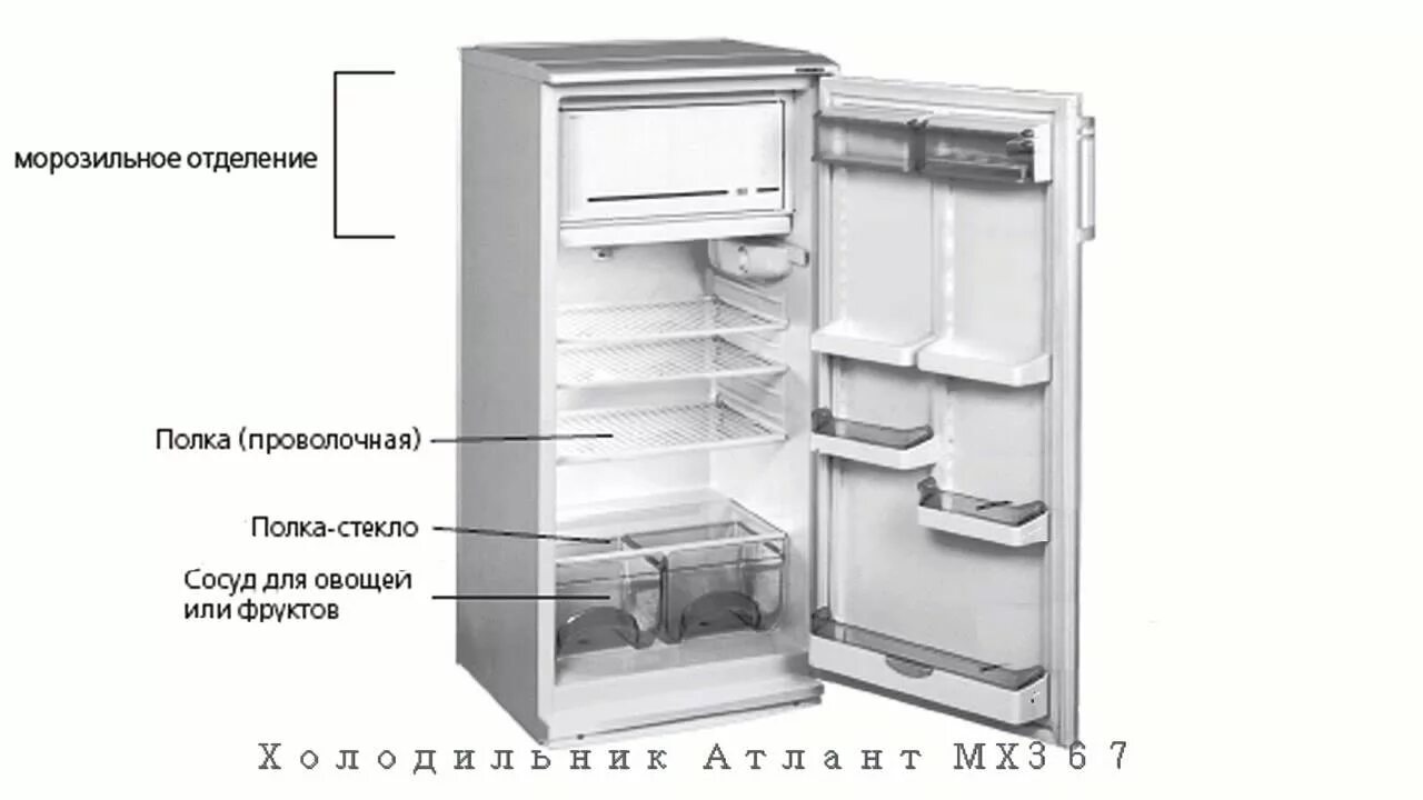 Холодильник ATLANT МХ 367-00. Холодильник Атлант МХМ-365 однокамерный. Холодильник Атлант хм-367. Холодильник Атлант МХМ 367. Как разморозить морозилку атланта
