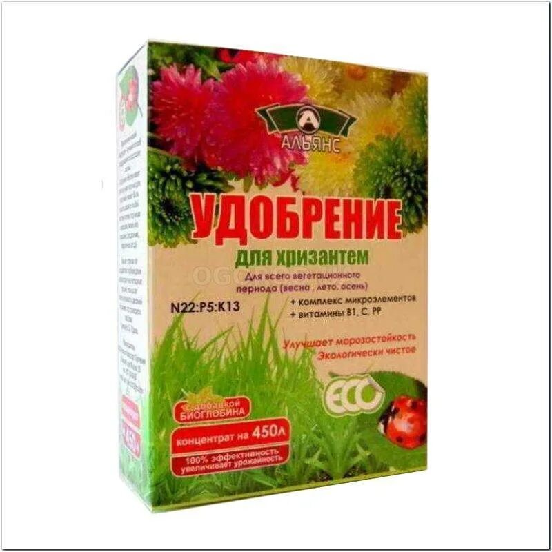 Подкормка хризантем. Удобрение для хризантем комнатных. Подкормка хризантем весной. Подкормка хризантемы мультифлора в июне. Комплексное удобрение для хризантем.