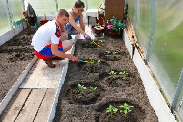 Можно ли на казанскую работать в огороде. Посадка грядок в огородах. что и когда садить в огороде. сажаем космический огород. посадка огорода рабочие.