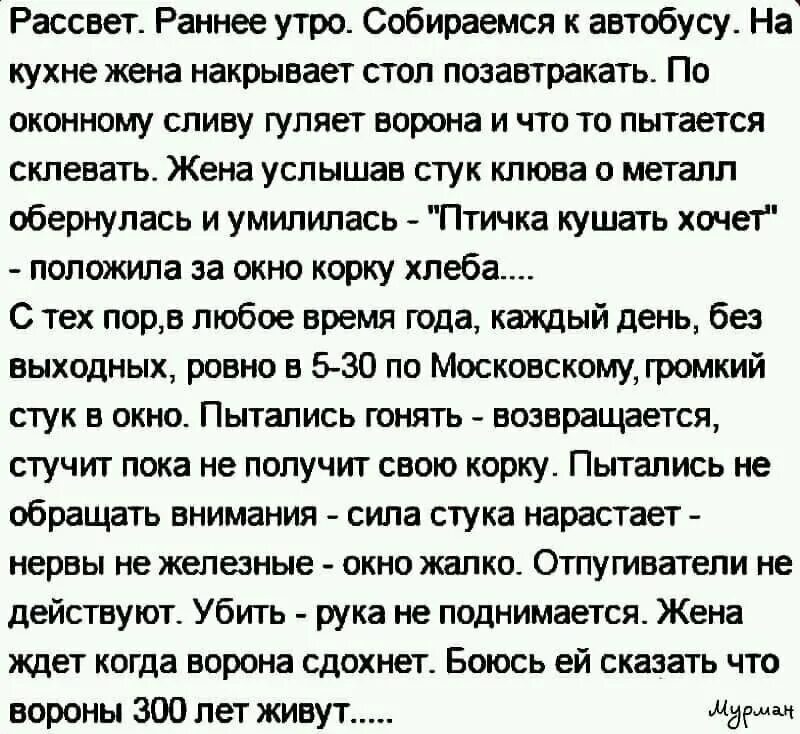 Анекдоты про сильнее. Анекдот про ворону. Анекдот про сильную ворону. Я сильная смелая анекдот про ворону. Анекдот про сильную и смелую ворону.