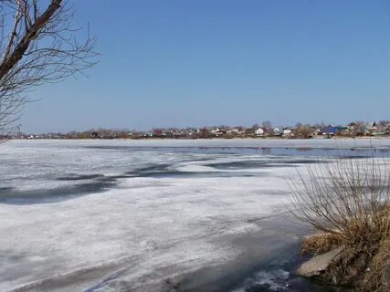 Погода в селе мамонтово алтайского