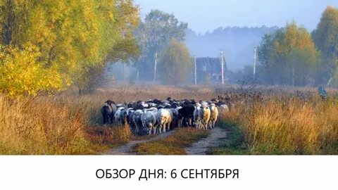 Парк животных деревня глинище