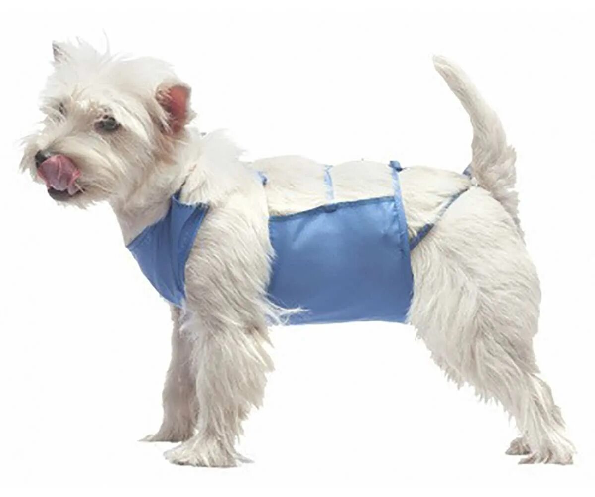 попона vitavet для кошки. попона талисмед для собак послеоперационная №2 48-58 см. попона после операции. попона после операции. попонка послеоперационная для кошки.