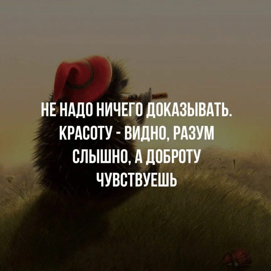 Смысл высказывания. Красивые цитаты. Цитаты со смыслом. Статусы про жизнь. Красивые слова про жизнь.