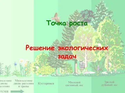 Практическая работа решение экологических задач
