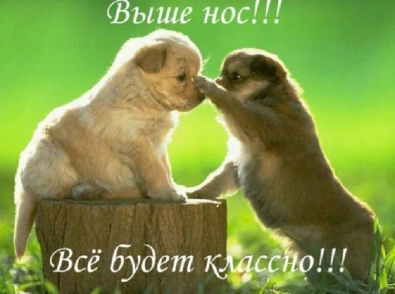 Мы друзья у меня есть
