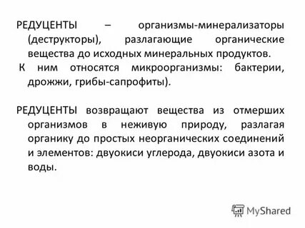 Ресурсы редуцентов